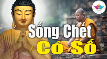 Sống chết có số, phú quý do trời